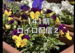 明日10時〜、ロイロ配信２回目！！