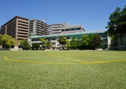 PTA委員会活動体験の予定