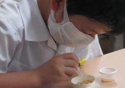 種子の発芽と養分