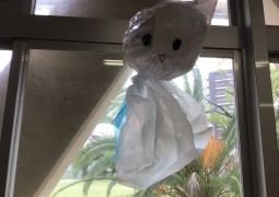 ☆来週の連絡☆