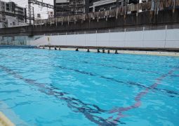 大きなプールにチャレンジ！