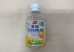 スポーツデーにおける熱中症対策