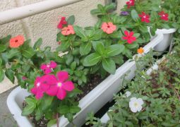 ９月２３日㈬連絡