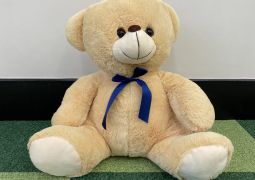 学芸会について