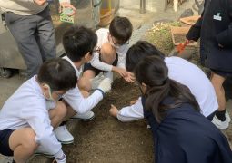 お花作りのお手伝いについて