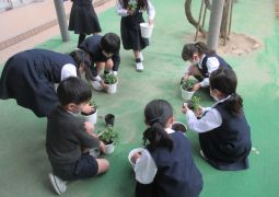 もっとそだてよう