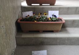 できることを、少しでも