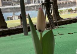 そろそろ春ですね