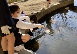 そろそろ起きるかな？