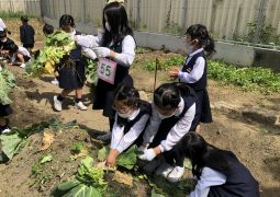 トリオタイムが始まったよ！