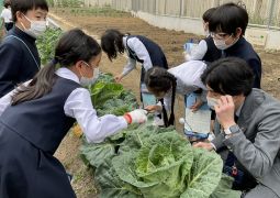 理科の勉強が始まったよ！！