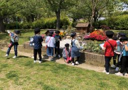 八幡屋公園の春見つけ♪