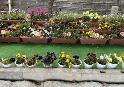 R3.年間行事予定（改）と５月行事予定について