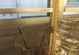 ヤゴがどんどん巣立って行ってます。