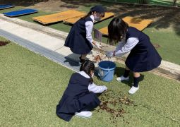 トリオタイム 本格始動