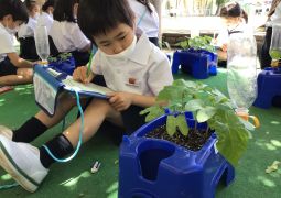 05.25.あさがおのかんさつ