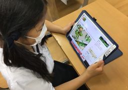 ザリガニ釣りの代わりに