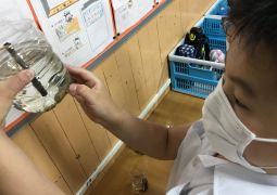 ヤゴの成長が止まらない！？