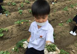 もっと大きく育つように