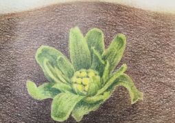 いよいよ本番！音読発表会