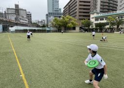 アルティメットはじめました