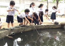 リベンジ！ザリガニ釣り