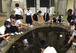 初めてのザリガニ釣りは…