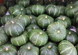 グループで楽しく演奏♪