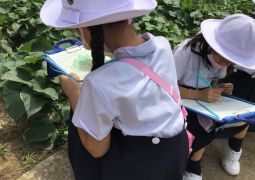 ぐんぐん、ぐんぐん！