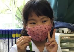 芋・野菜、劇的ビフォーアフター