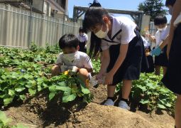 06.09.連絡帳を書き始めました