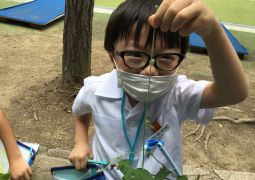 06.29.カタカナって？