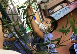 06.30.七夕の願い事