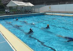 隊列はじめました