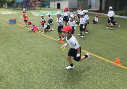 06.02.あさがおの観察