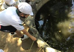 ザリガニは、いないのか！？