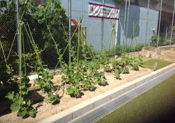 自然に触れる時間