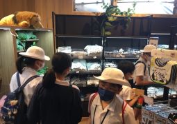 アドベンチャーワールド⑤（３日目）