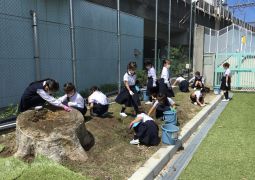 明日はラストトリオ!