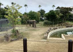 アドベンチャーワールド③（３日目）