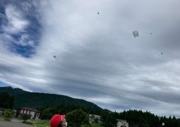 思い出（凧あげ　魚つかみ）