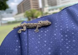 07.15.お休みの間に・・・