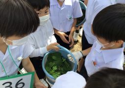 28日（水）トリオの活動について