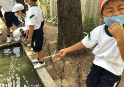 7月最後の裏庭～ザリガニ釣り・トウモロコシの苗付け～