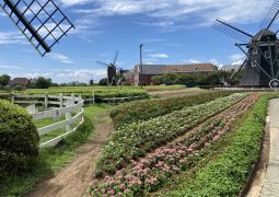 修学旅行の行き先について