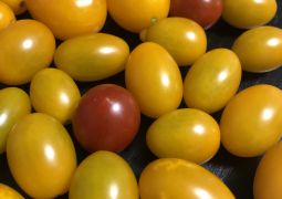 リーバー入力のお願い