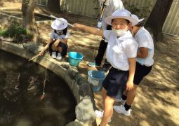 ザリガニがたくさん釣れたよ！