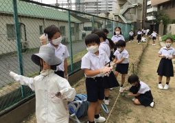 久しぶりに裏庭の雑草抜きへ