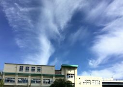 運動場での練習