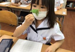 09.10.はっぱをかんさつしよう！